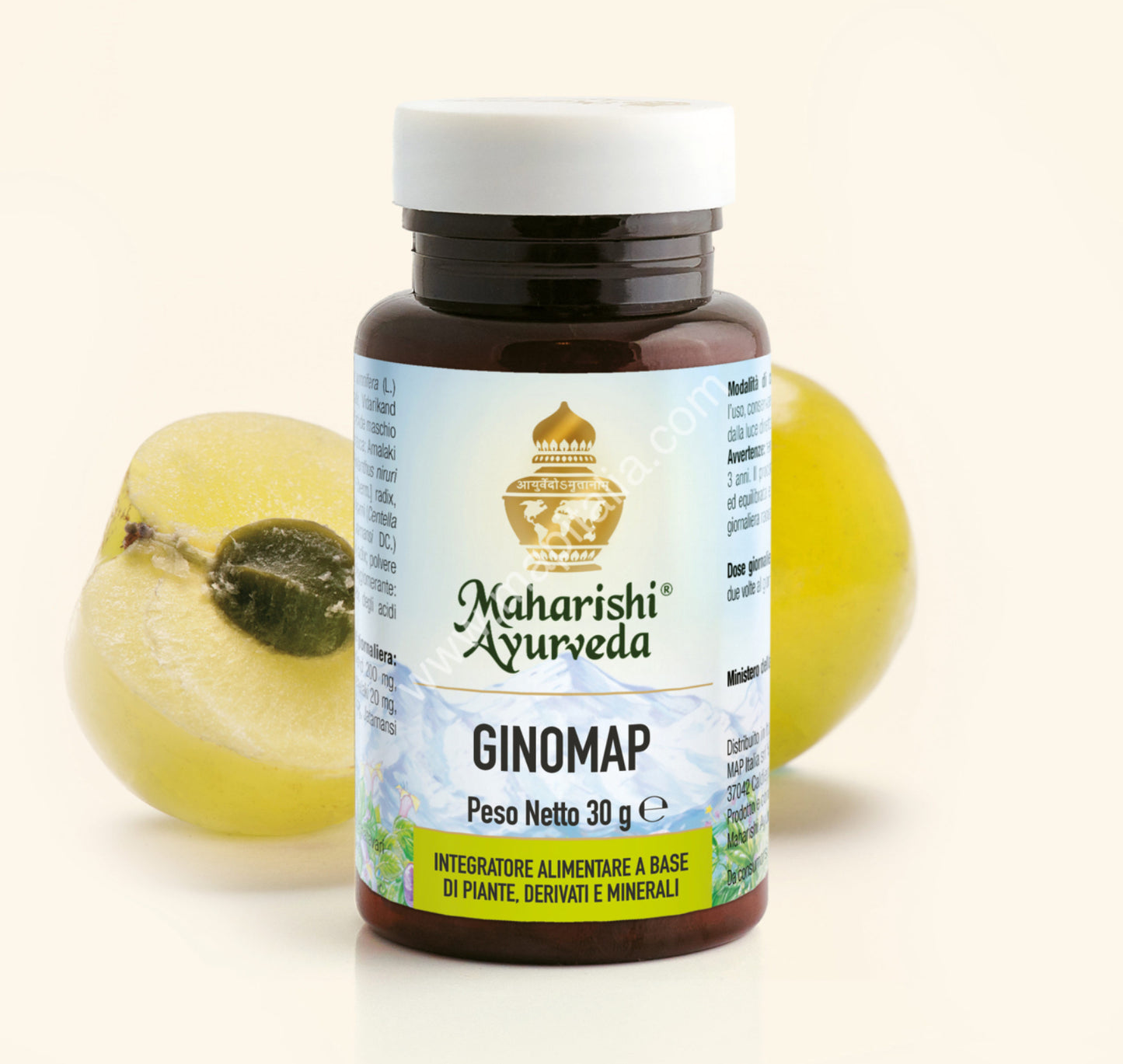 GINOMAP compresse Maharishi Ayurveda